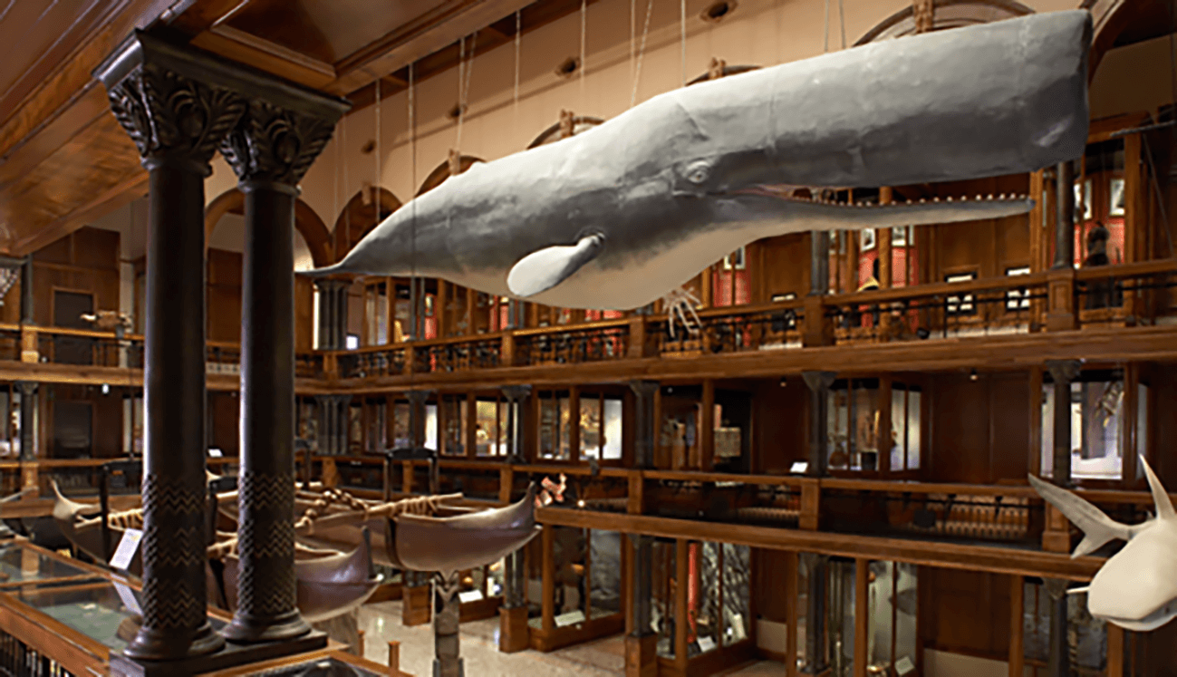 Bishop Museum Hawaiian Hall
