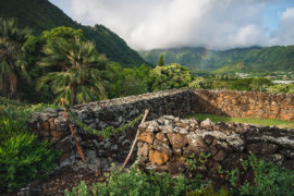Kūkaʻōʻō Heiau at Manoa Heritage Center