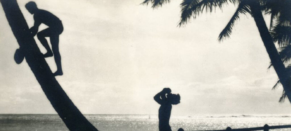Black and white silhouette of two men around a palm tree with coconuts