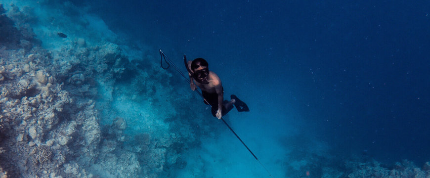 A spearfisherman free dives amongst the reef