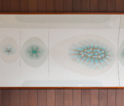 Sea Anemone by Tadashi Sato