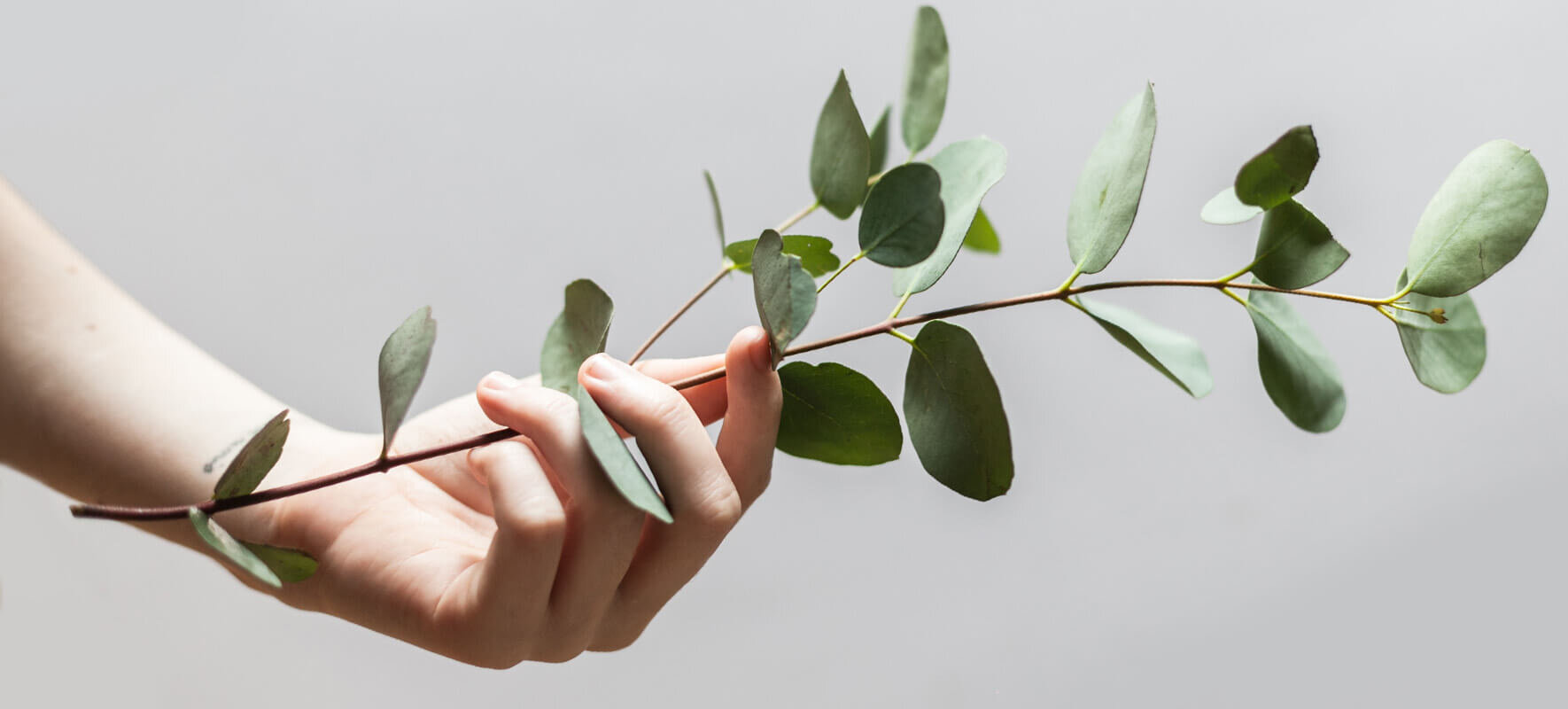 Spring Reset