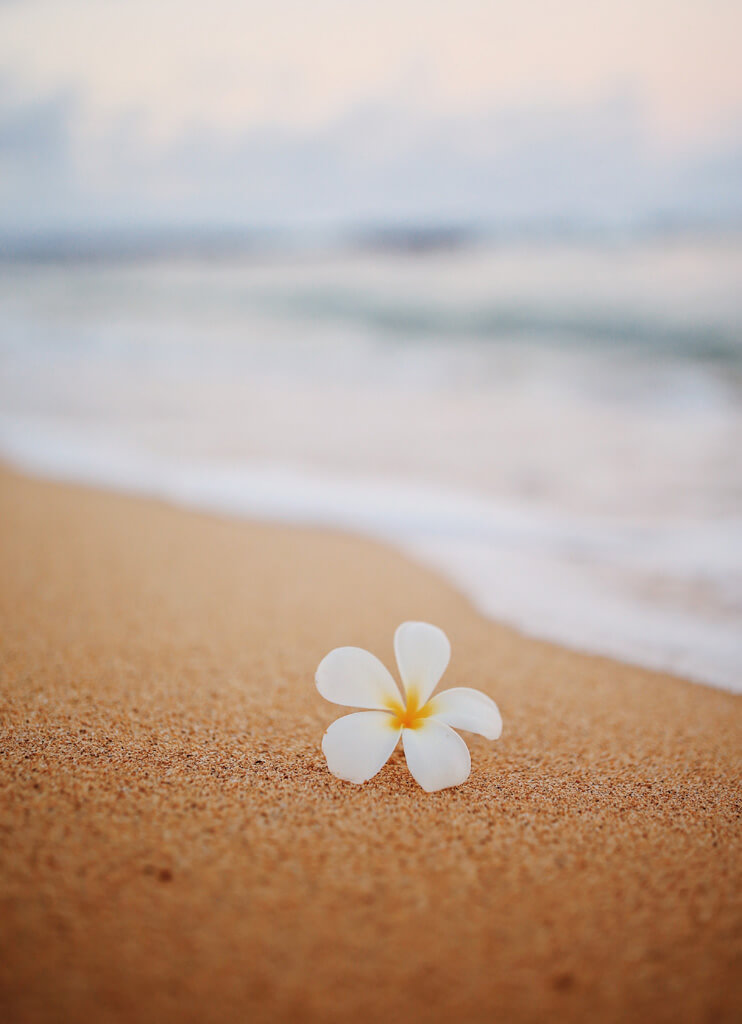 Spring Reset