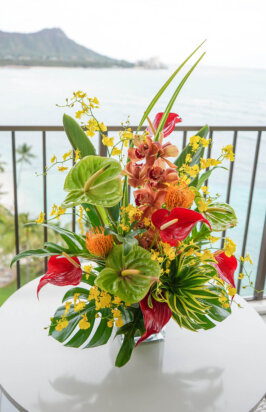 Colorful Tropical