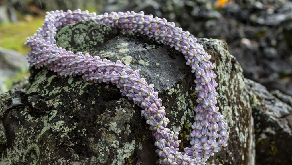 Lei