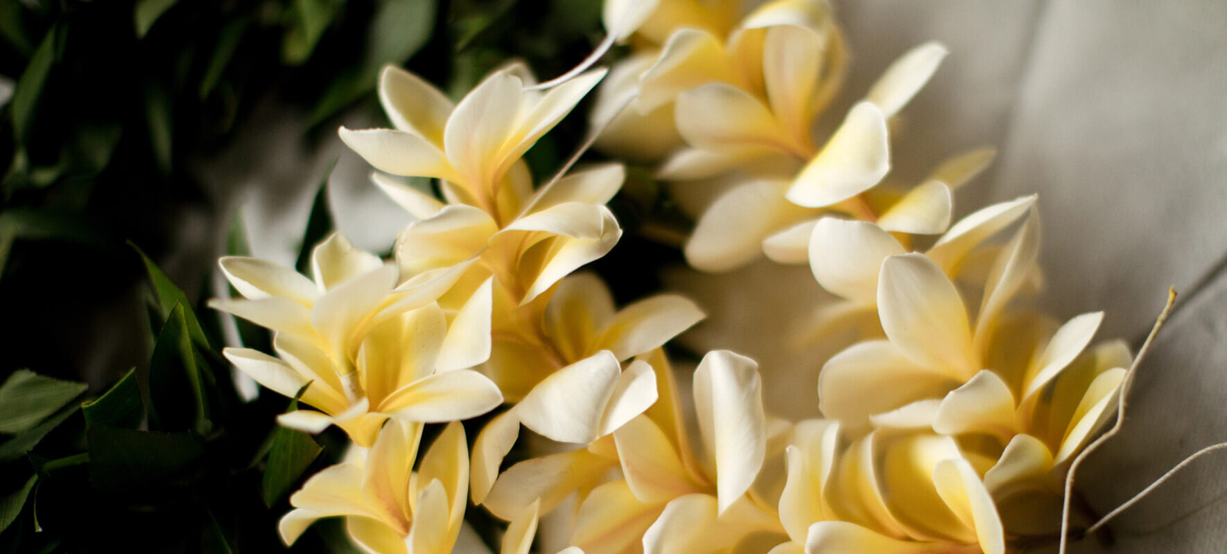 Lei
