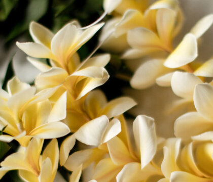 Lei