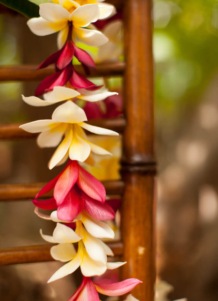Lei