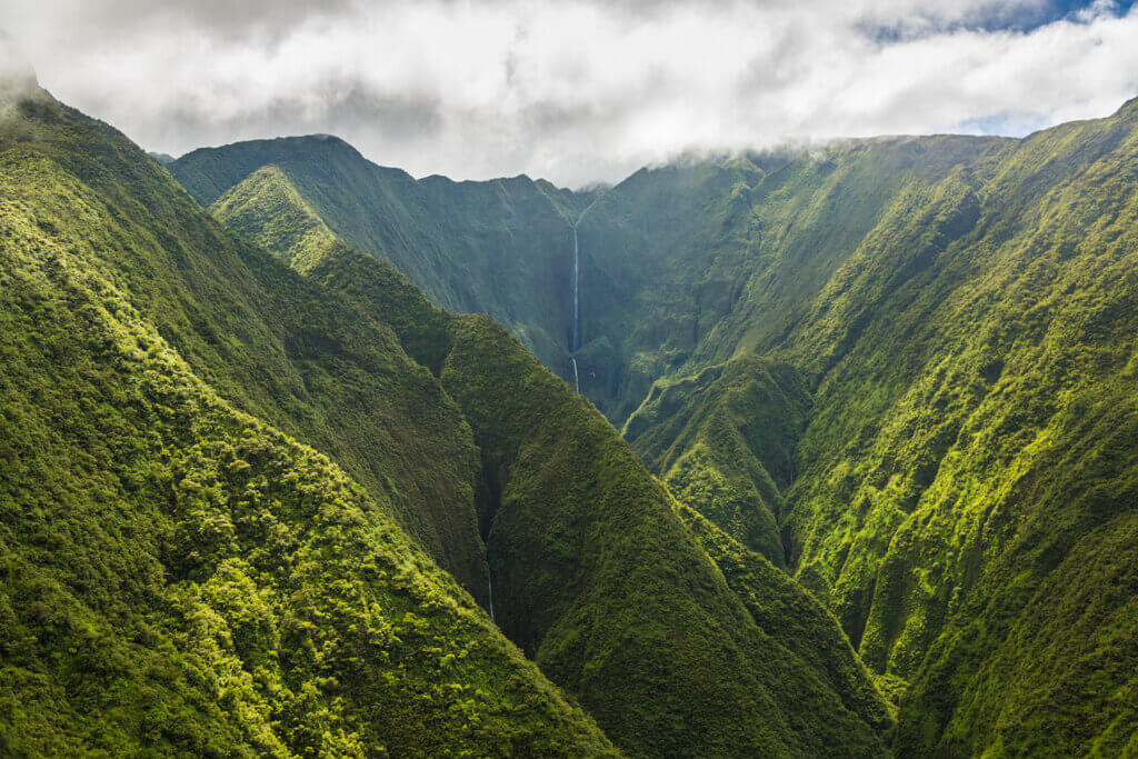 Maui