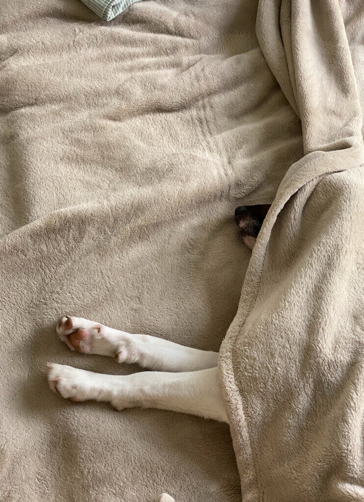 Optimal Sleep