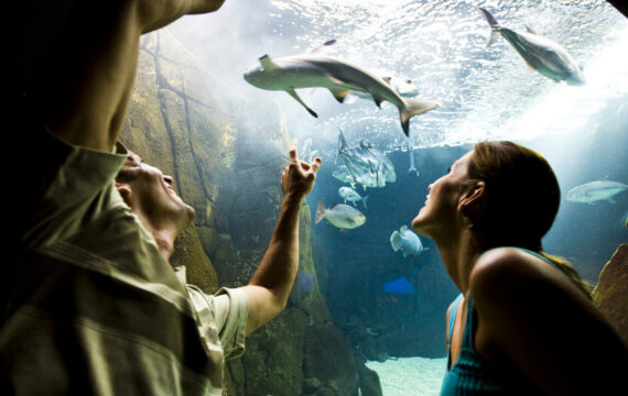Waikiki Aquarium