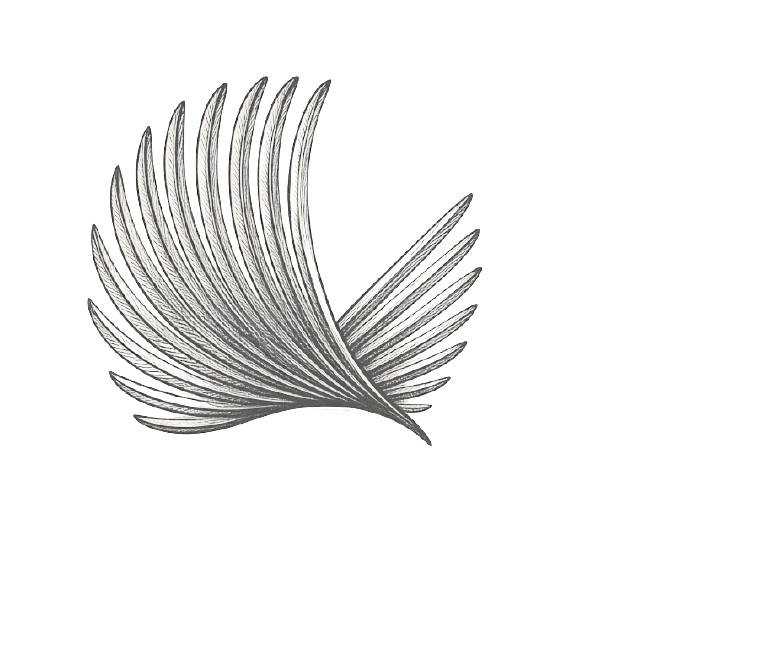 Terns logo