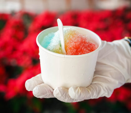 Holiday Shave Ice